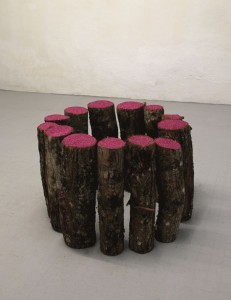 {Conciliabûche}, 2013