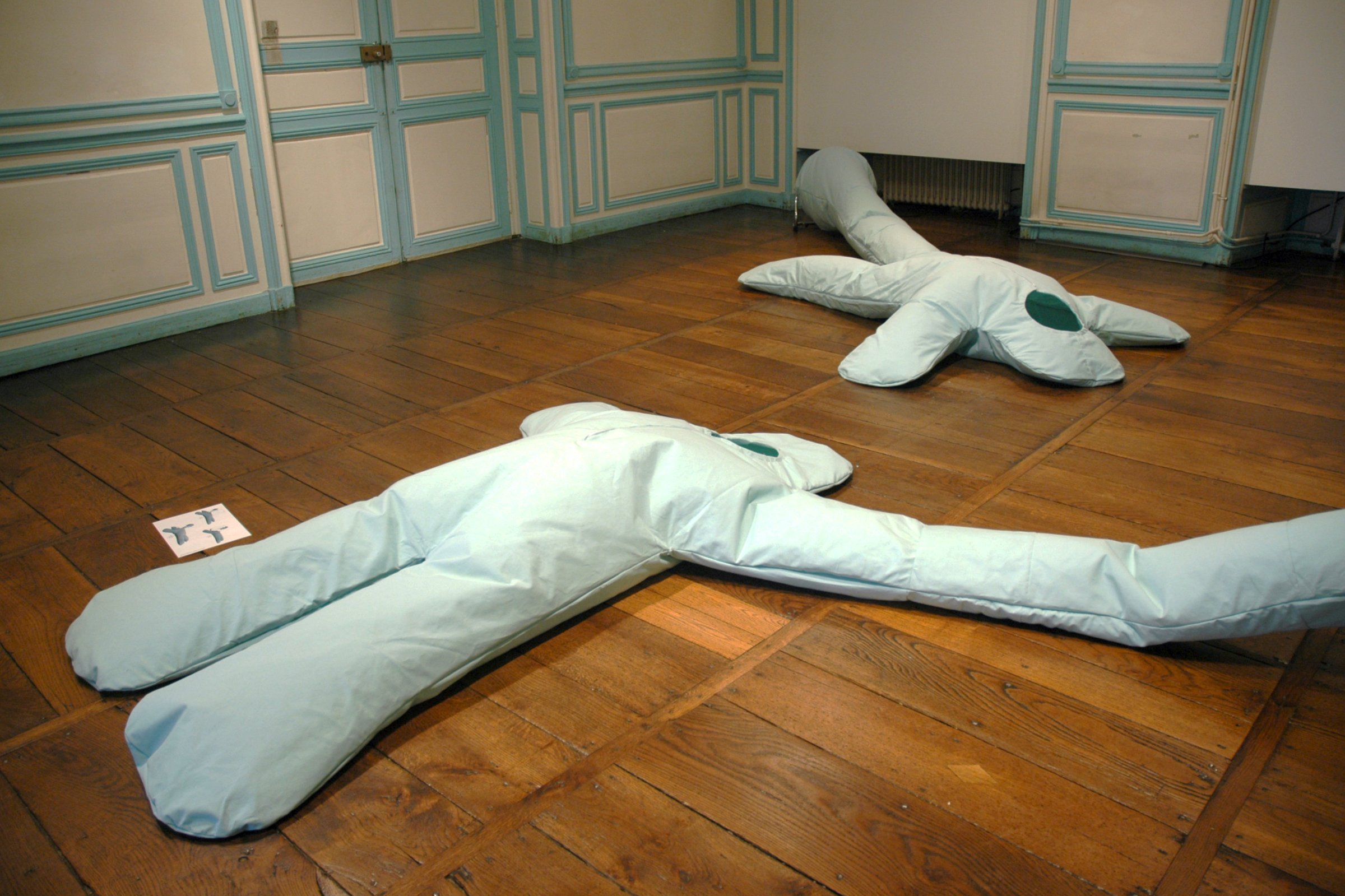 {Séchoirs de corps}, 2007