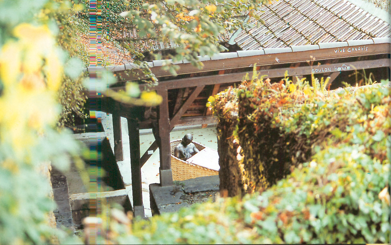 {Le Bain de Primerose}, 2000