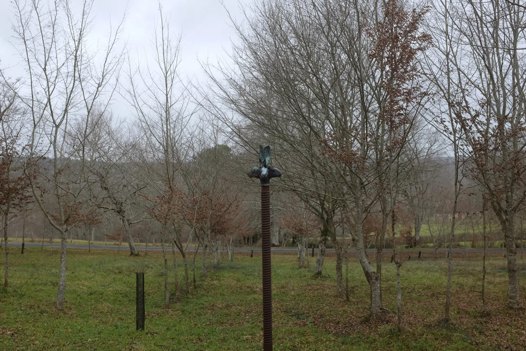 {4 lièvres aux oreilles nouées}, 2017