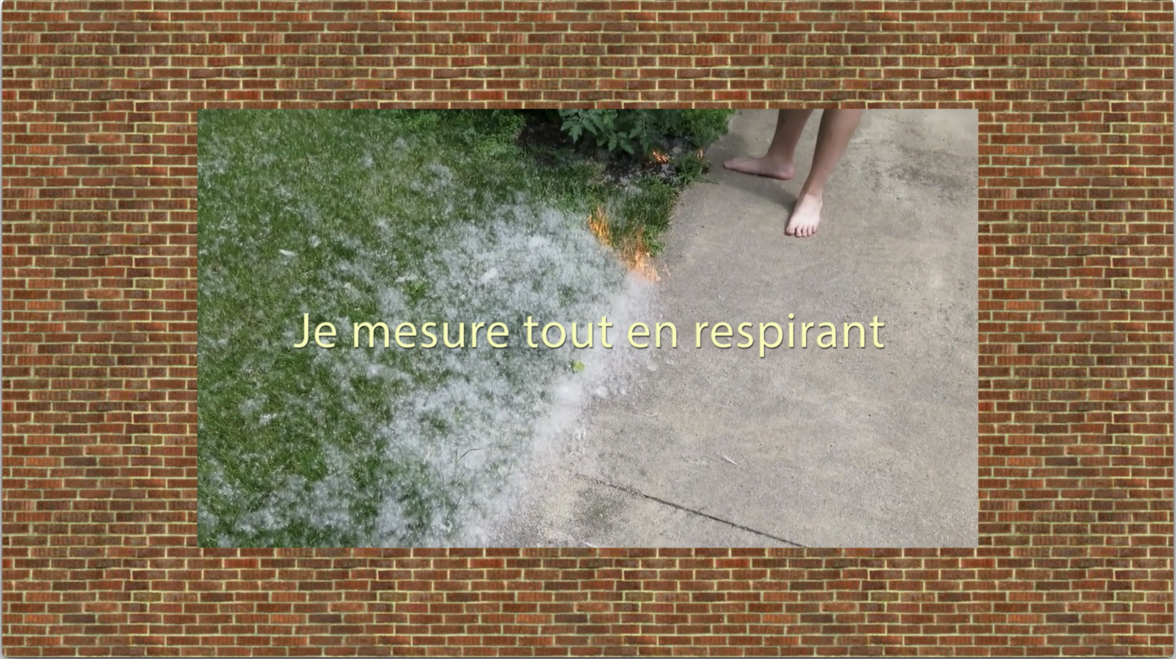 Image extraite de la vidéo