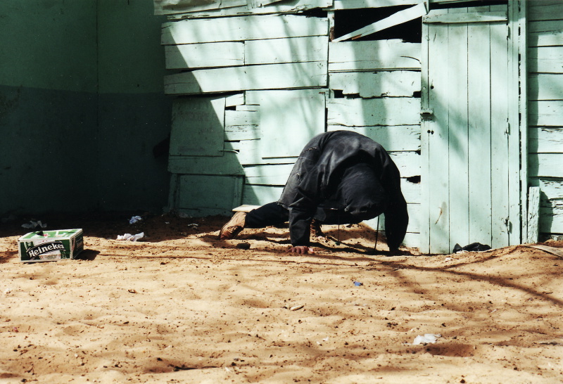 {Le je-ne-sais-quoi du paresseux...}, 2001