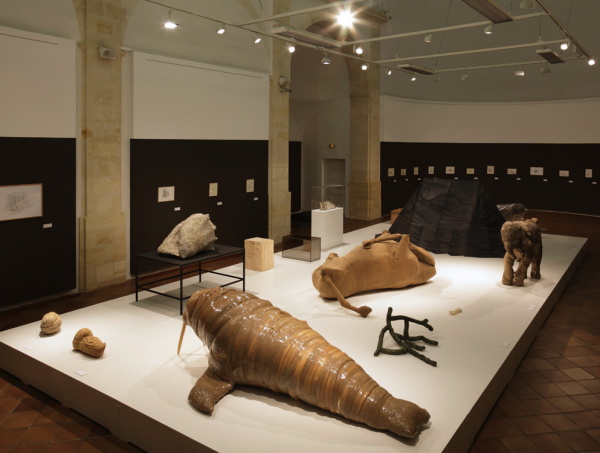 Vue de l'exposition La Grande Évolution