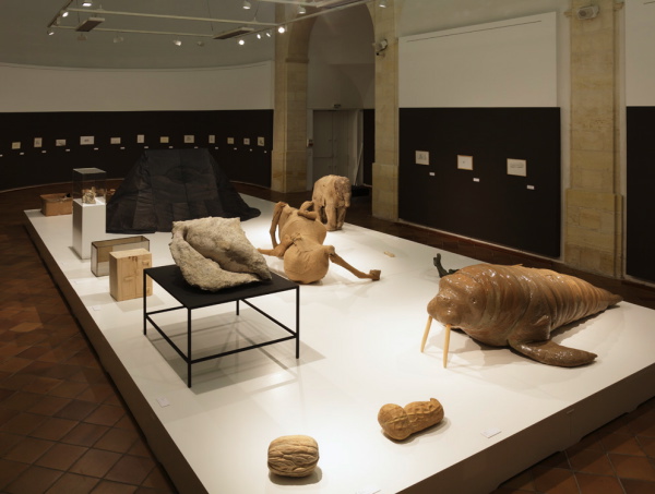 Vue de l'exposition La Grande Évolution