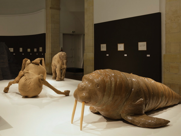 Vue de l'exposition La Grande Évolution