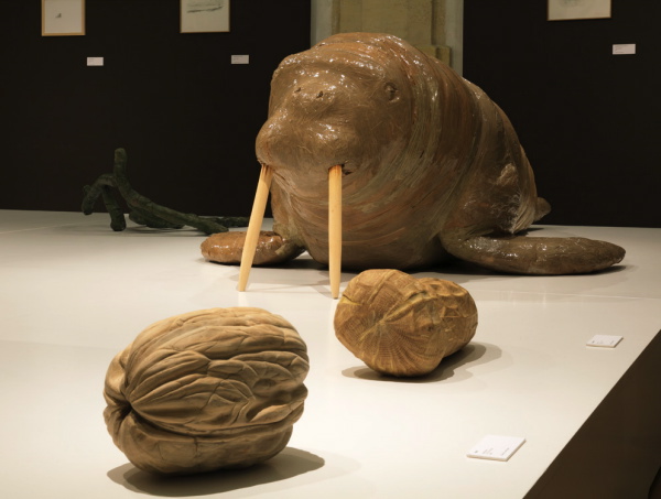 Vue de l'exposition La Grande Évolution