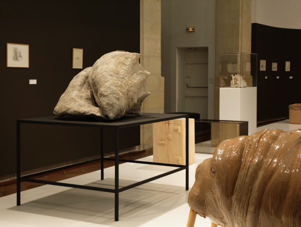 Vue de l'exposition La Grande Évolution