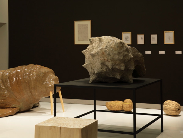 Vue de l'exposition La Grande Évolution