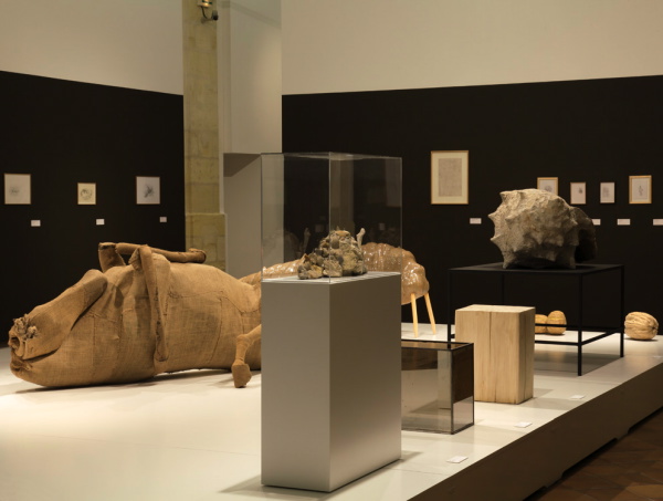 Vue de l'exposition La Grande Évolution