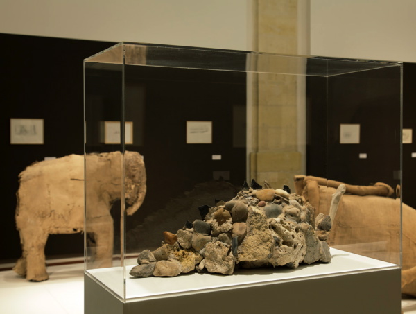 Vue de l'exposition La Grande Évolution