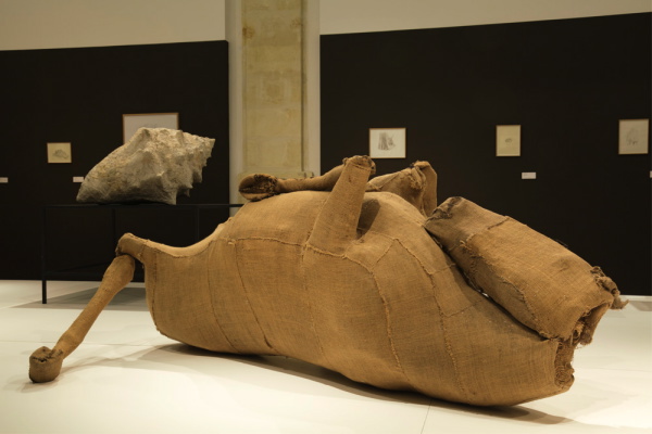 Vue de l'exposition La Grande Évolution