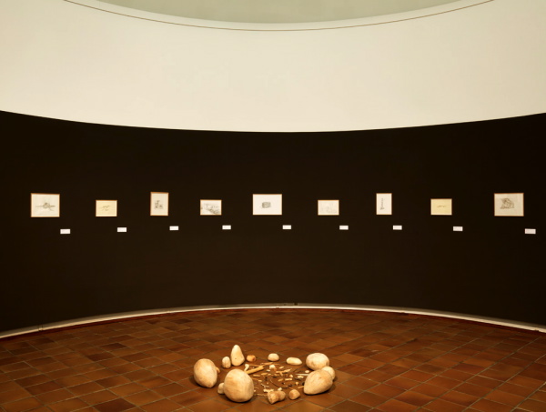 Vue de l'exposition La Grande Évolution