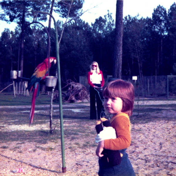 {le n° des Exotiques}