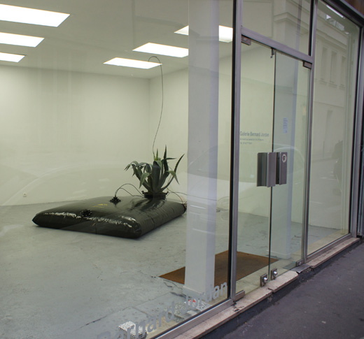 {Jardin carré 1998,} 2012