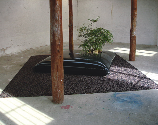 {Jardin carré,} 2010