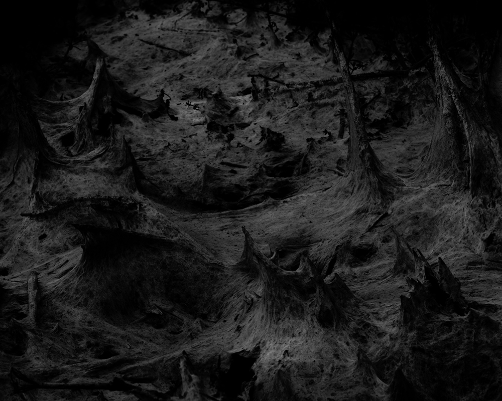 {Sad landscape V}