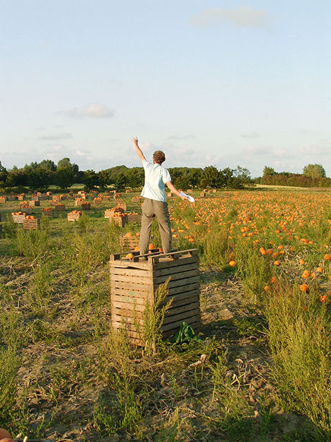 {The Preacher of Pumpkins}, 2008