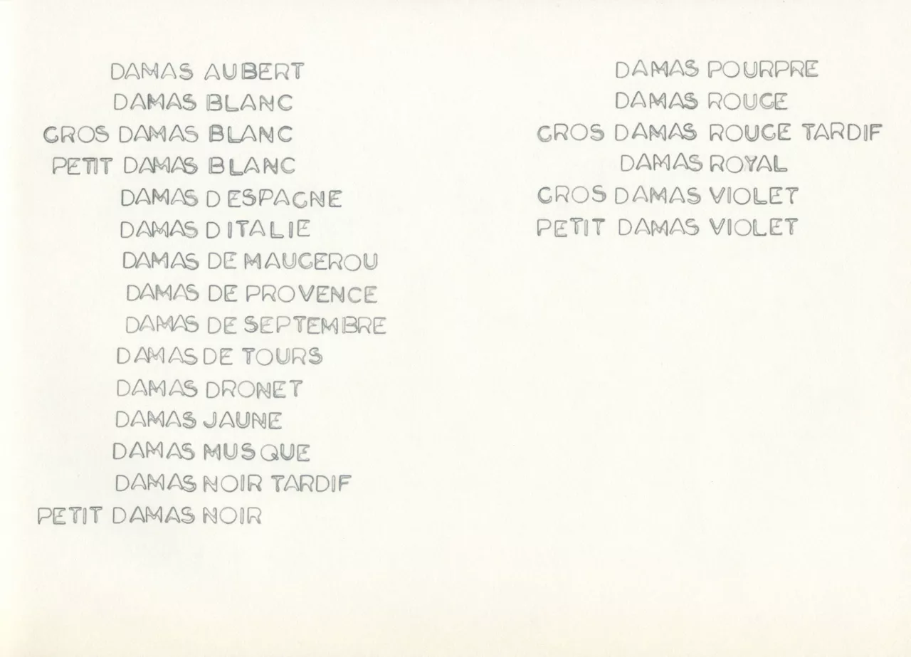 {Pour des prunes}, 2016