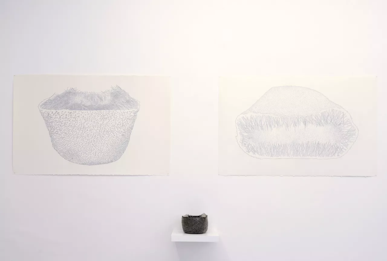 {Coiffes épinglées}, 2018 
