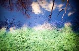 {paysage chronique}, 2013