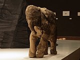 Vue de l'exposition La Grande Évolution