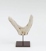 {Phallus double à tête de requin}, 2020