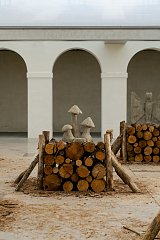 {Champignons}, 2022