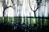{paysage chronique}, 2013