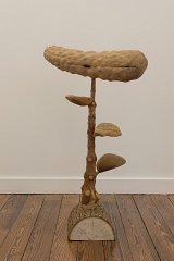 {Sapin à chat I}, 2016