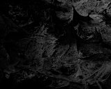 {Sad landscape IV}