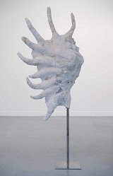 {Coquillage IV}, 2012