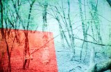 {paysage chronique}, 2013