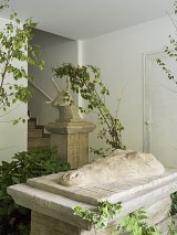 {Tête de crocodile}, 2021