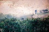 {paysage chronique}, 2013