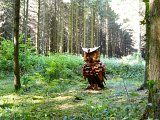 {Hibou}, 2009