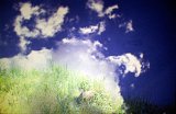 {paysage chronique}, 2013