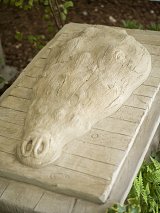 {Tête de crocodile}, 2021