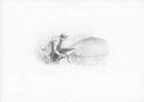 {Chasseurs flous}, 2006