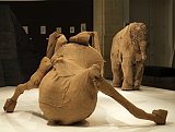 Vue de l'exposition La Grande Évolution
