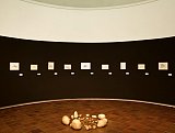 Vue de l'exposition La Grande Évolution