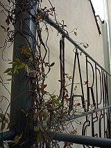 {Jardin Secret,} 2011 (détail)