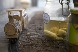 {le pays des âmes ( à jamais perdus, perdus à jamais)}, 2021
