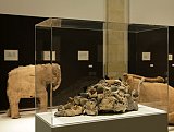 Vue de l'exposition La Grande Évolution