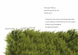 {danceforplants en Ariège}, 2019 (p. 22-23)