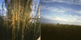 {chacun son paysage}, 2013