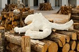 {Pieuvre végétale}, 2015