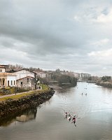 {Île des Faisans}