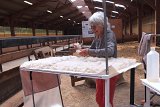 {À la place du cheval}, 9, 10 et 11 juin 2023