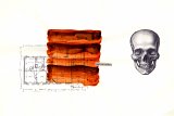 {parcelles}, 2008-2010