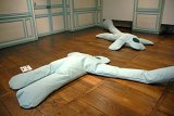 {Séchoirs de corps}, 2007